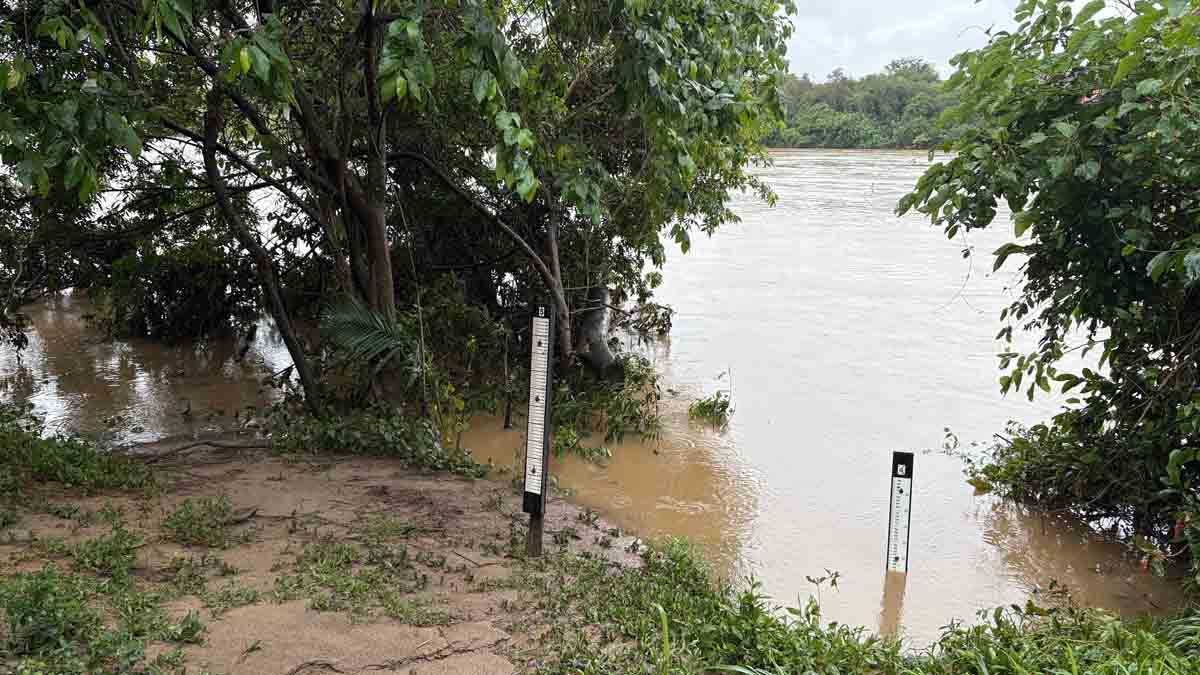 Rio Ivaí volta a baixar após subir 6 metros na sexta-feira; veja situação