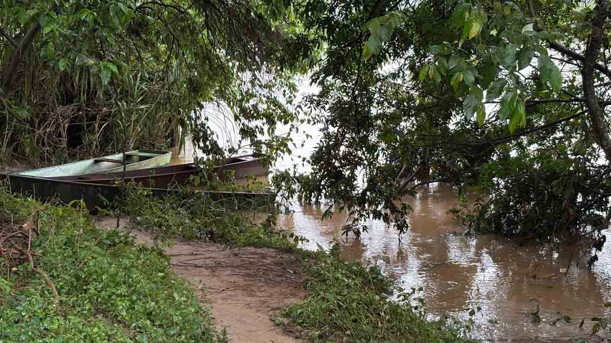 Rio Ivaí volta a baixar após subir 6 metros na sexta-feira; veja situação