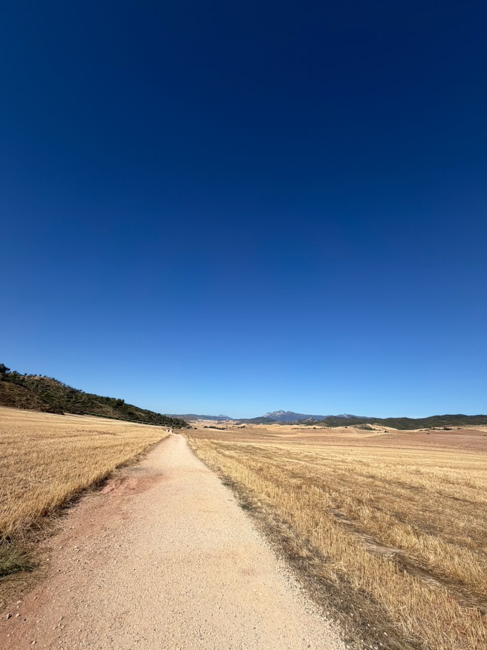 Empresário de Apucarana percorre 800 km a pé no Caminho de Santiago de Compostela
