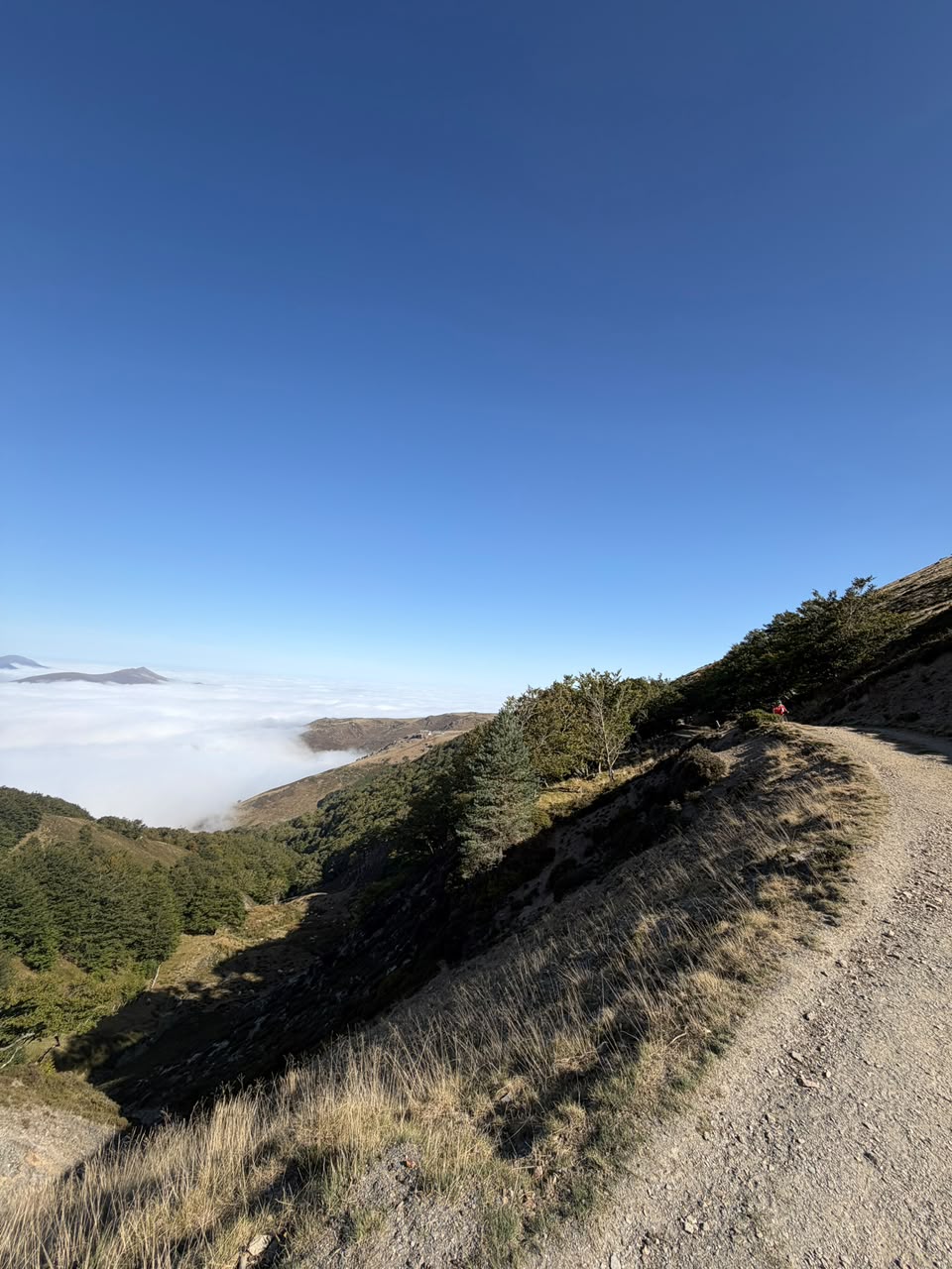 Empresário de Apucarana percorre 800 km a pé no Caminho de Santiago de Compostela