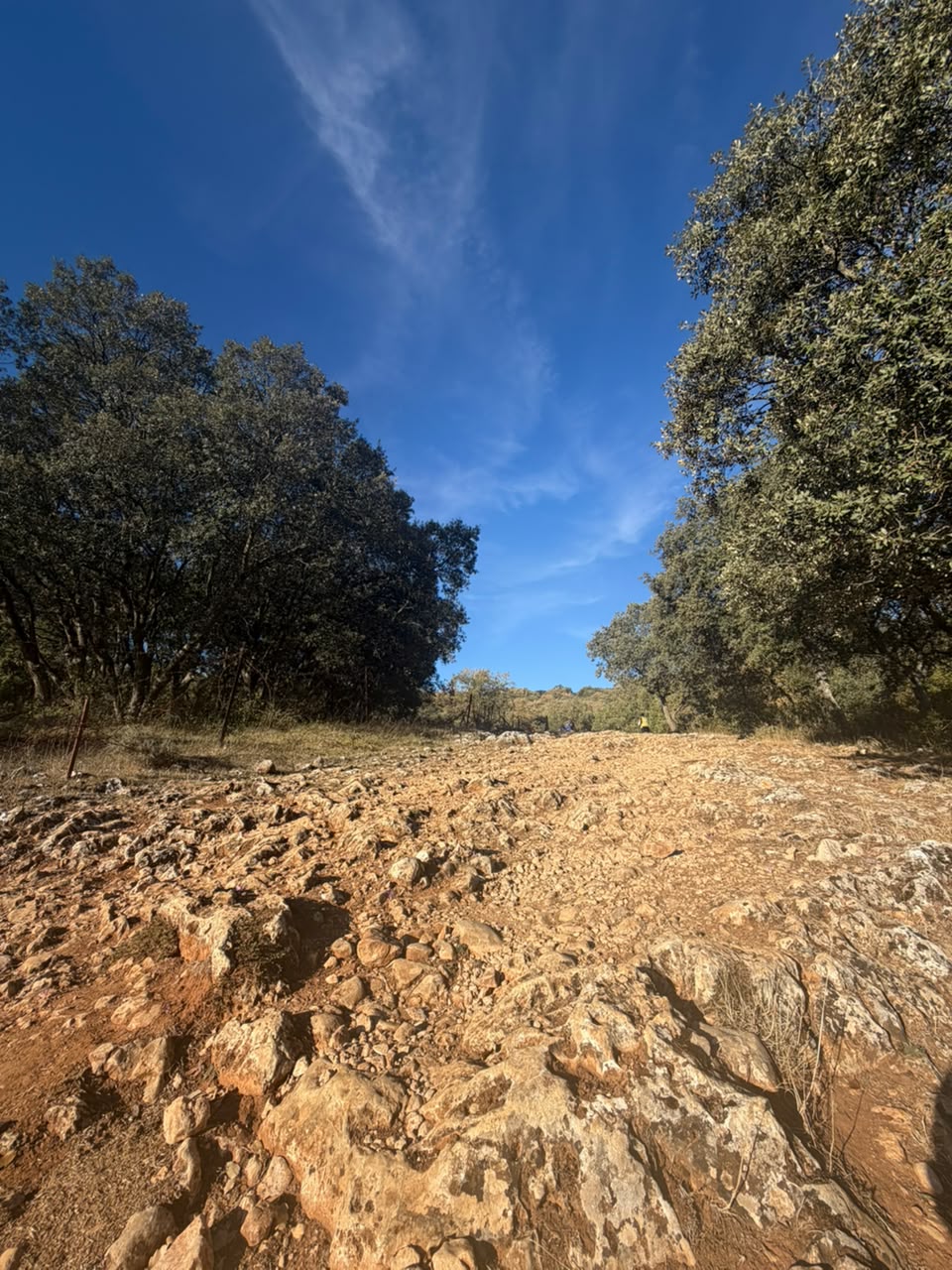 Empresário de Apucarana percorre 800 km a pé no Caminho de Santiago de Compostela