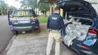 Mais de 100 kg de capulho em Laranjeiras do Sul / Foto: PRF