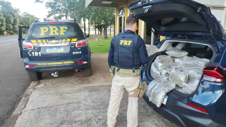 Mais de 100 kg de capulho em Laranjeiras do Sul / Foto: PRF