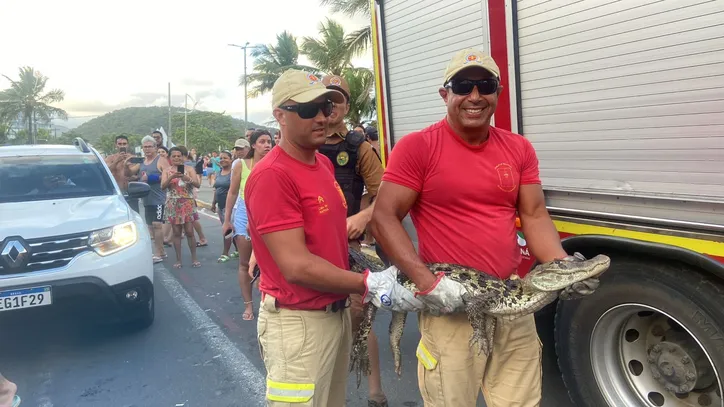 Jacaré é encontrado em praia famosa do Paraná e assusta banhistas