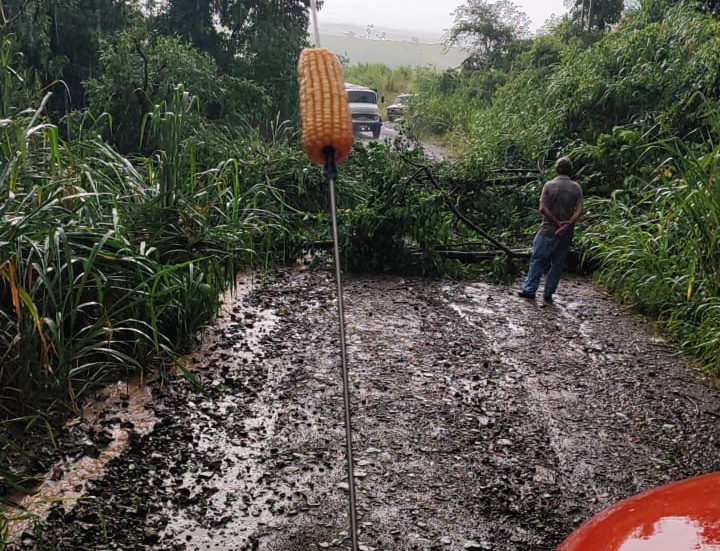 Chuvas geram transtornos no Vale do Ivaí nesta terça-feira (18)