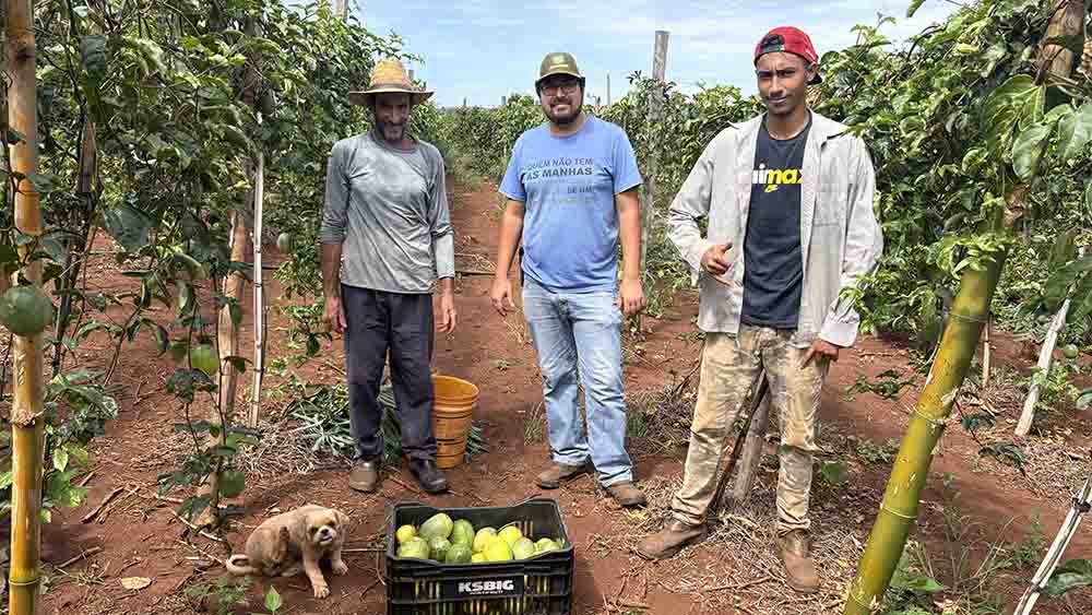 Produção de maracujá cresce e fortalece agricultura familiar na região