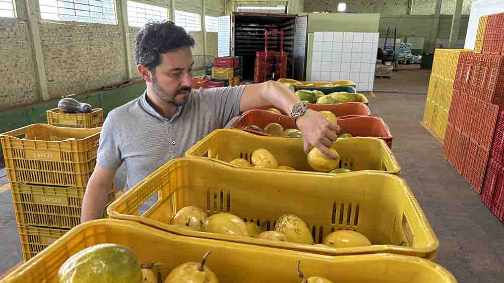 Produção de maracujá cresce e fortalece agricultura familiar na região
