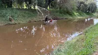 Desassoreamento do Lago das Flores atrai pescadores em Ivaiporã