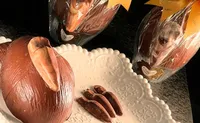 Pinhão e Capivara: chocolateria inova com ovos de Páscoa criativos
