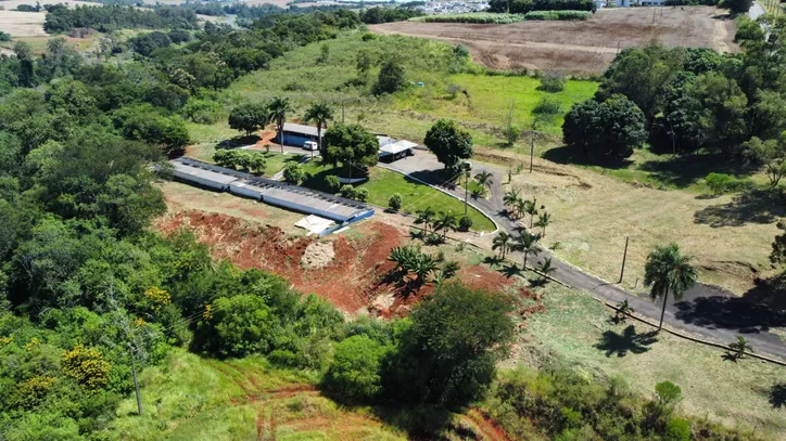 Cemsa adota cuidado humanizado com animais em Apucarana