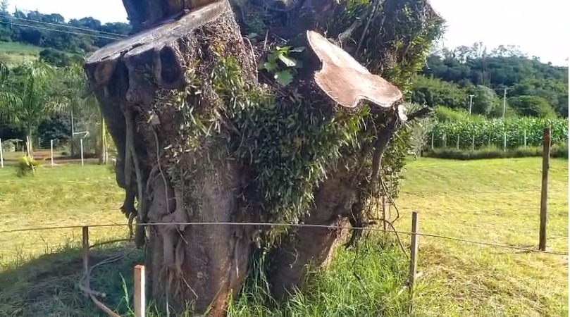 Ela foi batizada de “Esperança”.