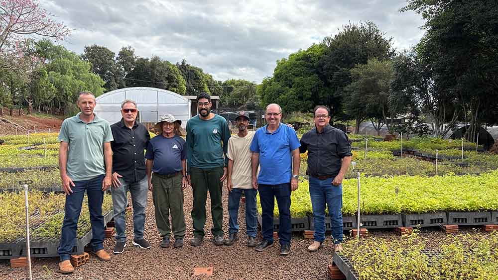 Viveiro Florestal do IAT de Ivaiporã