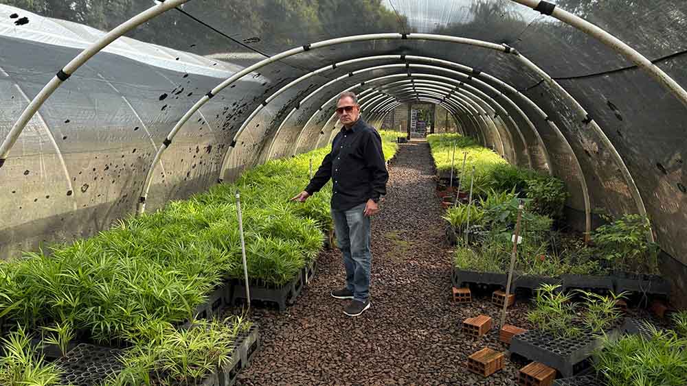 Viveiro Florestal do IAT de Ivaiporã