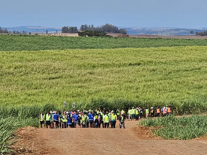 Com 106 km, rota "Caminhos dos Anjos" é atração no Paraná; fotos