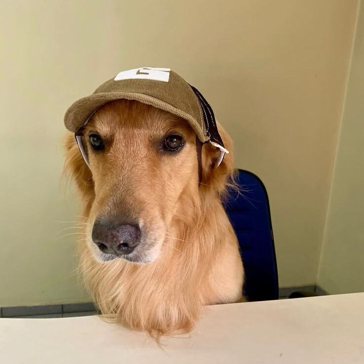 Buck era AUssistente de seu tutor, o cerealista Marcos Prados