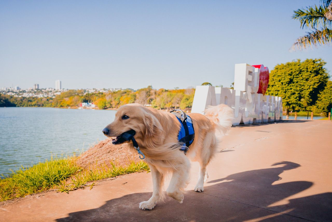 Buck passeava levando sua própria guia