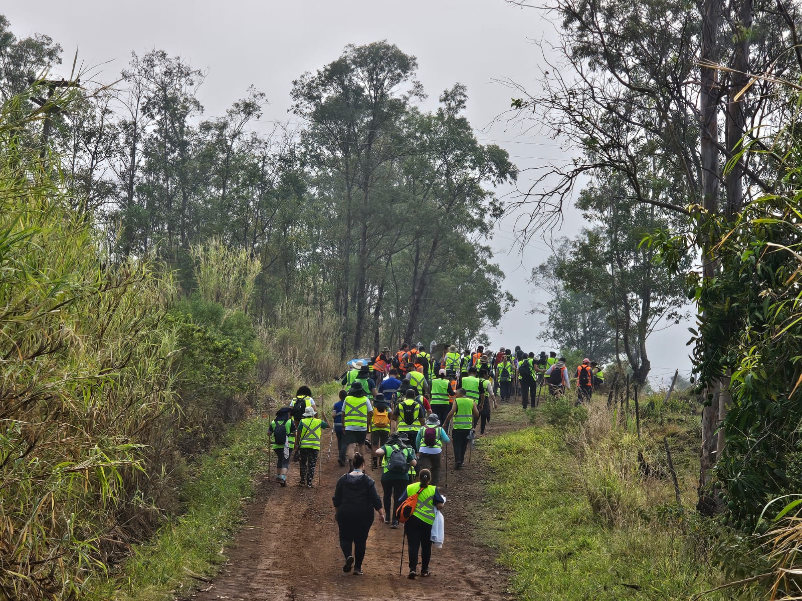 Com 106 km, rota "Caminhos dos Anjos" é atração no Paraná; fotos