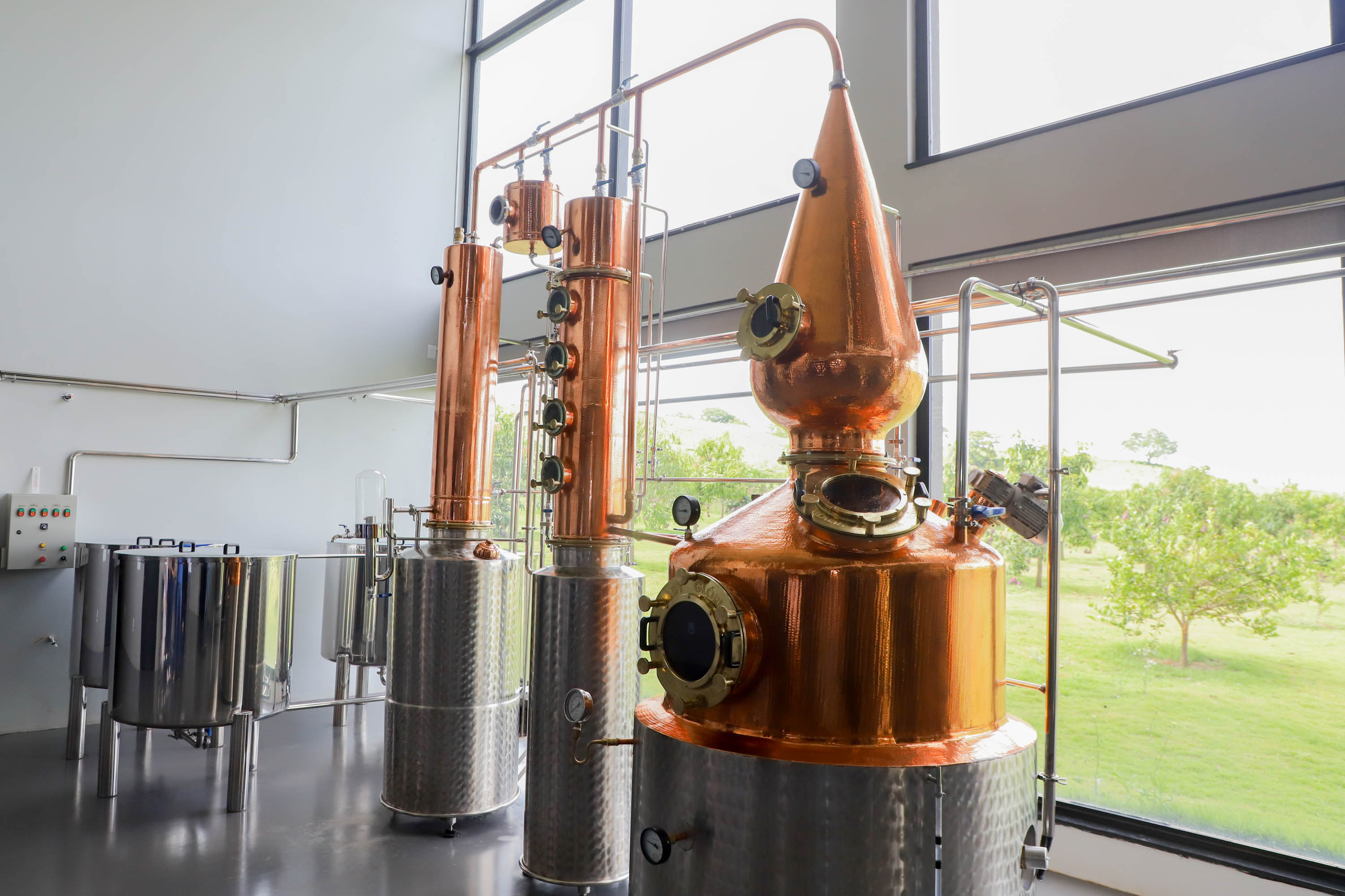 Destilaria de Gin Ivaí- São João do Ivaí. Fotos:Ari Dias/AEN