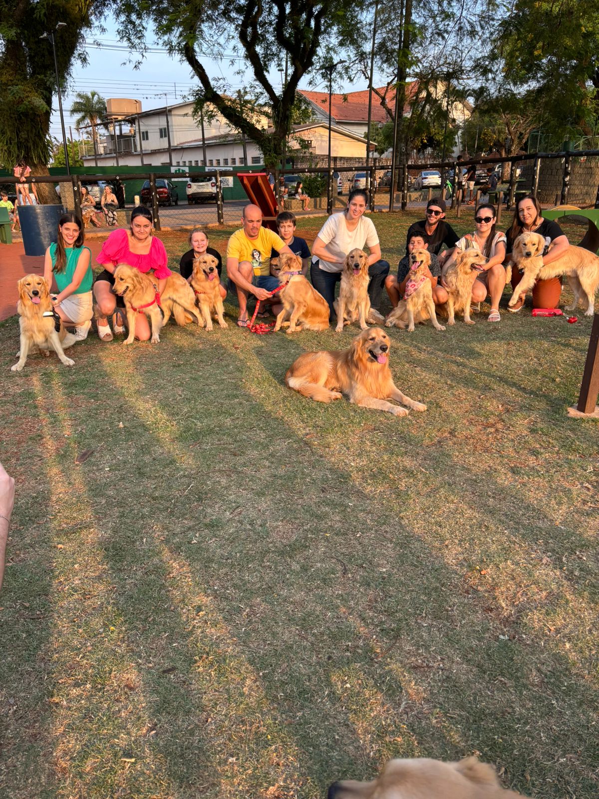 Família organizou encontro entre Buck e seus nove filhos