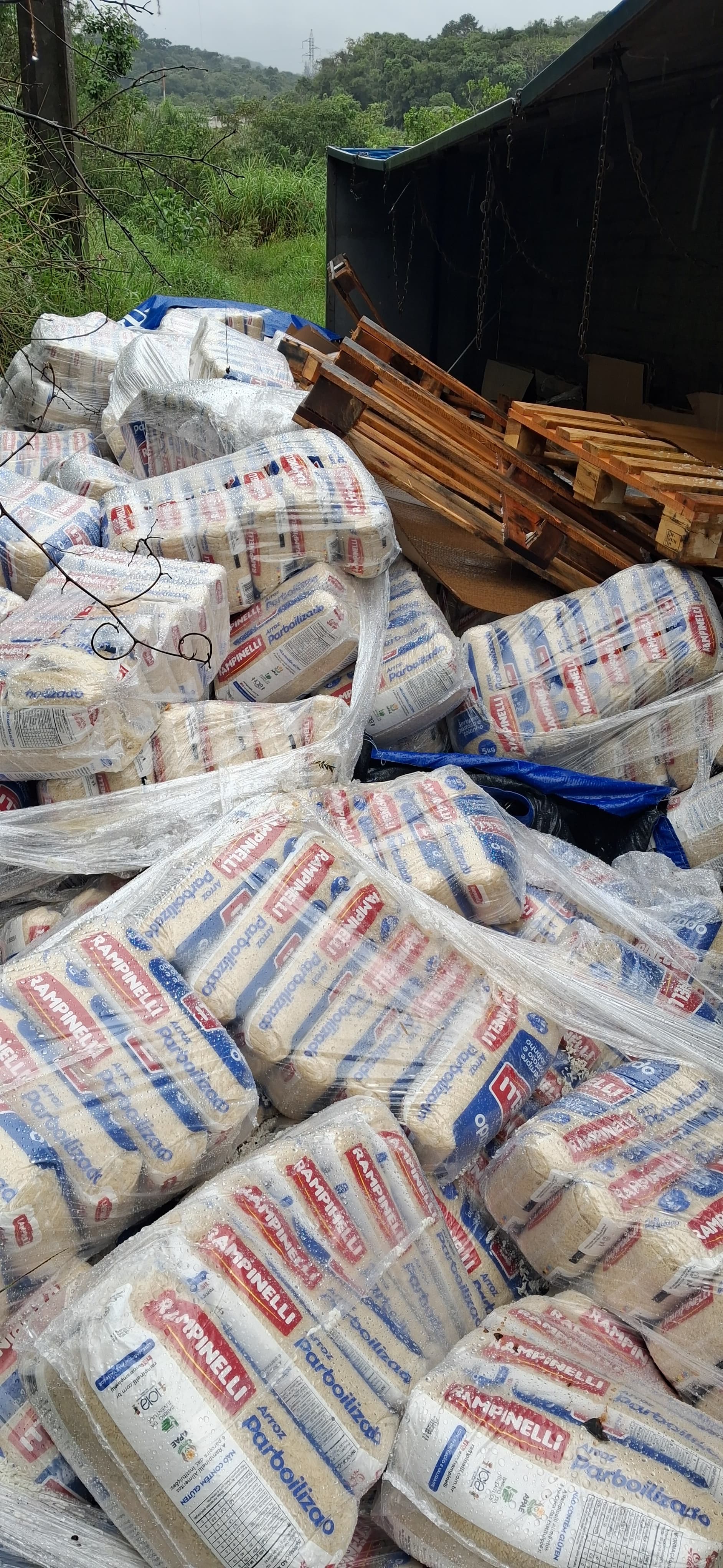 Motorista erra caminho por causa do GPS e capota caminhão próximo ao Lago Schmidt