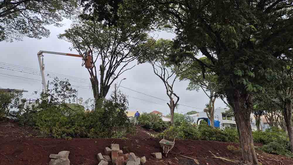 Secretário arregaça as mangas e faz poda de árvores em Ivaiporã