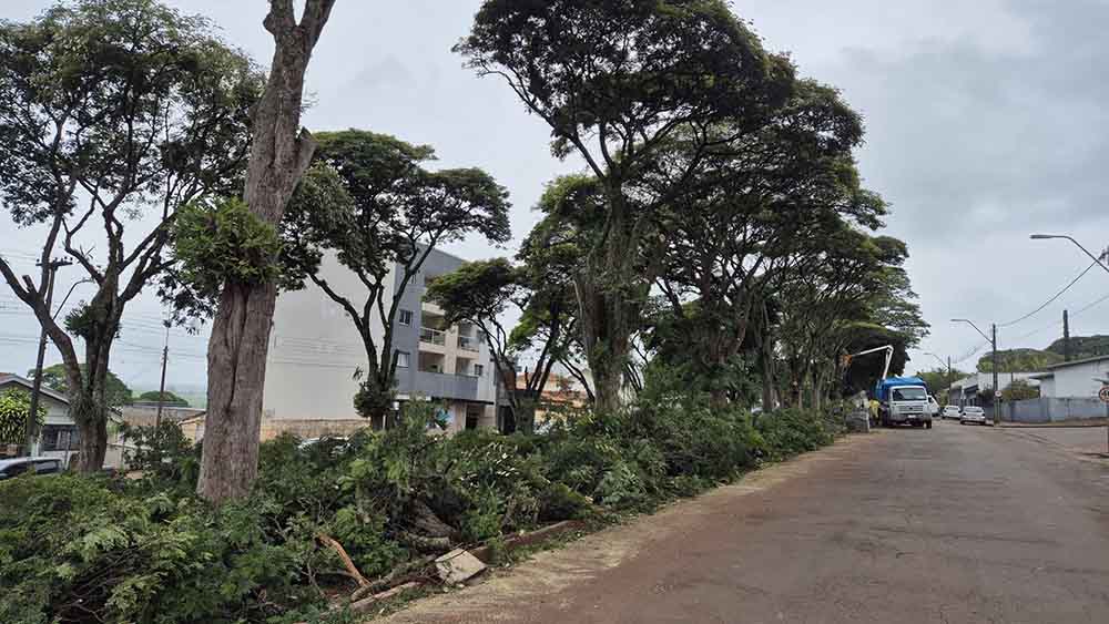 Secretário arregaça as mangas e faz poda de árvores em Ivaiporã