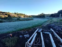 Apucarana amanhece com geada e sensação térmica de 0 ºC; veja fotos