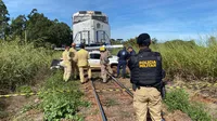 Pai e filha são as vítimas de acidente em Califórnia; homem morreu no local