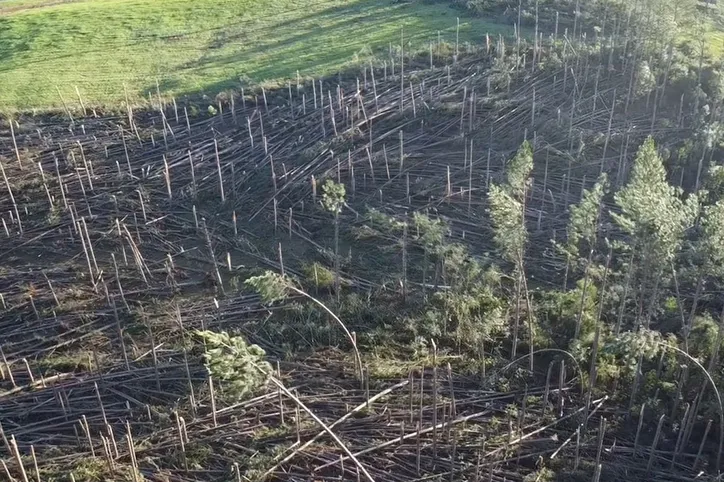 Após destruição de tornado, cidade de SC decreta emergência