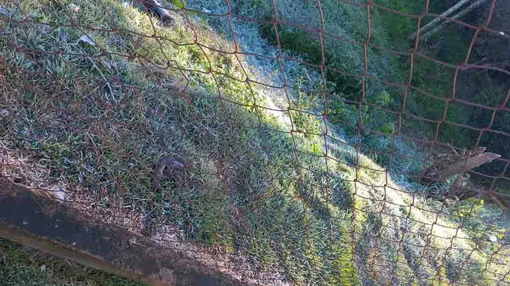 As temperaturas despencaram chegando à 3º C