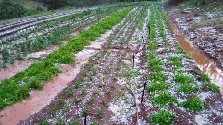 Temporal deixa rastros de destruição em Novo Itacolomi