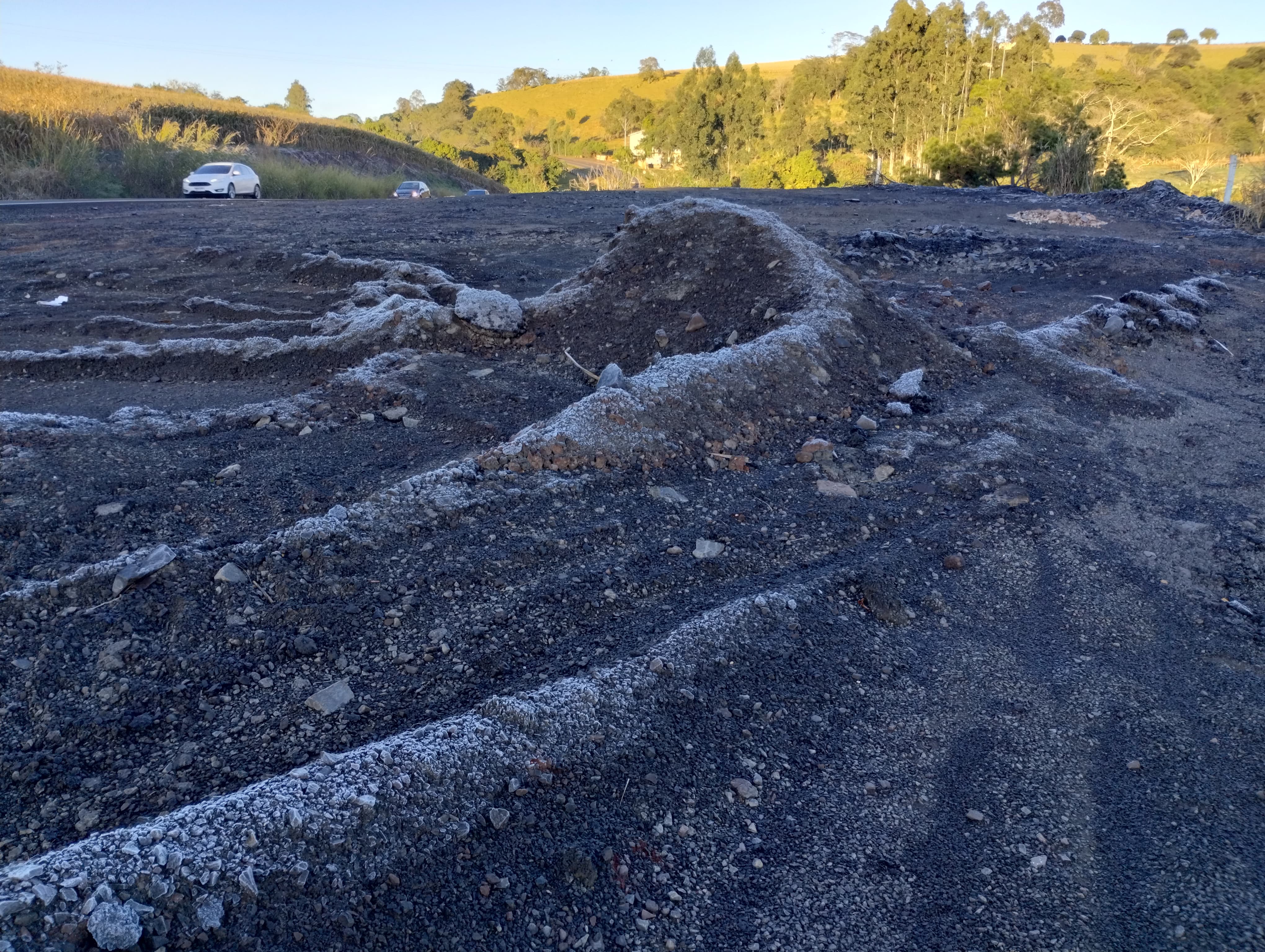 Apucarana amanhece com geada e sensação térmica de 0 ºC; veja fotos