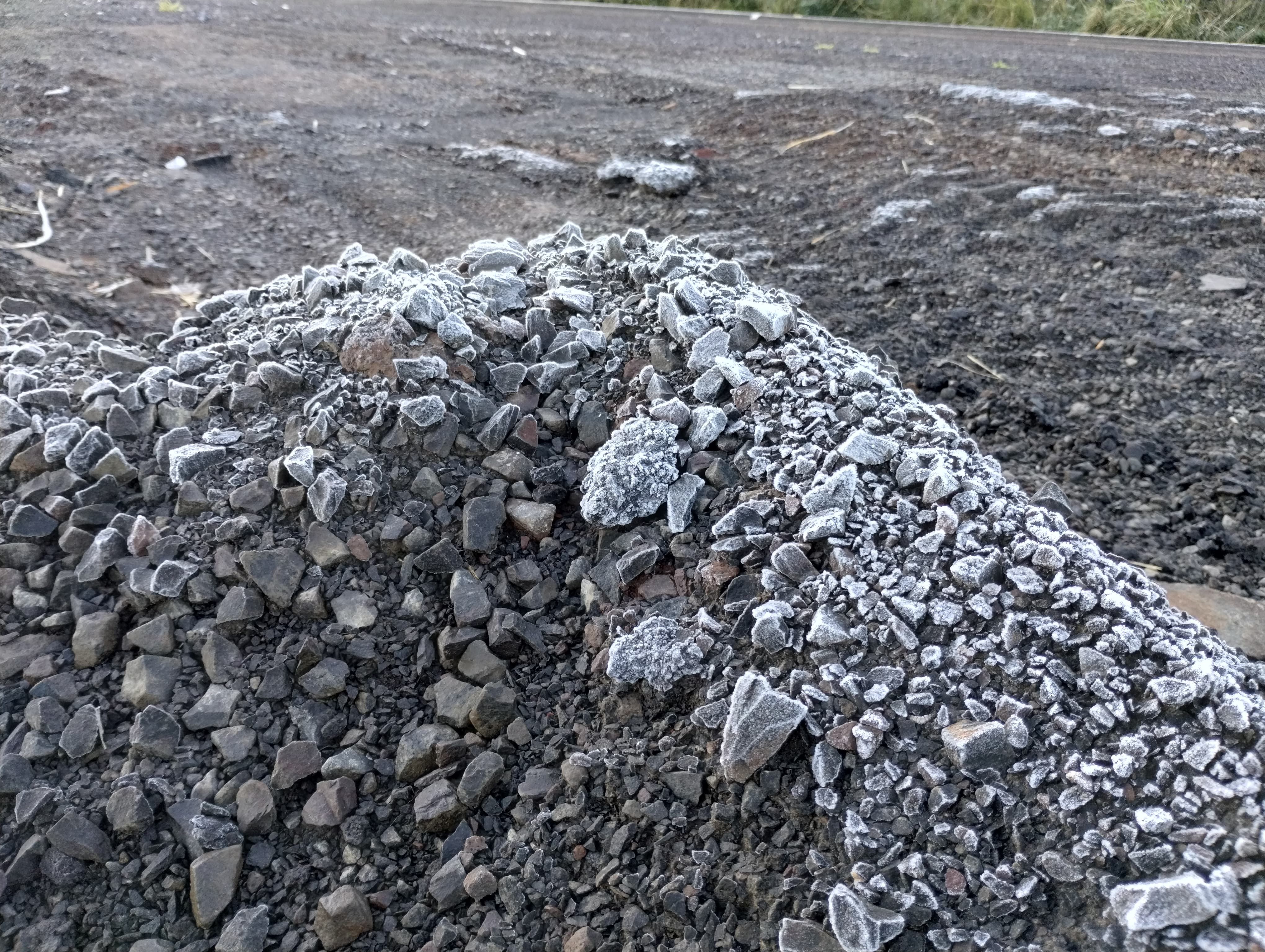 Apucarana amanhece com geada e sensação térmica de 0 ºC; veja fotos