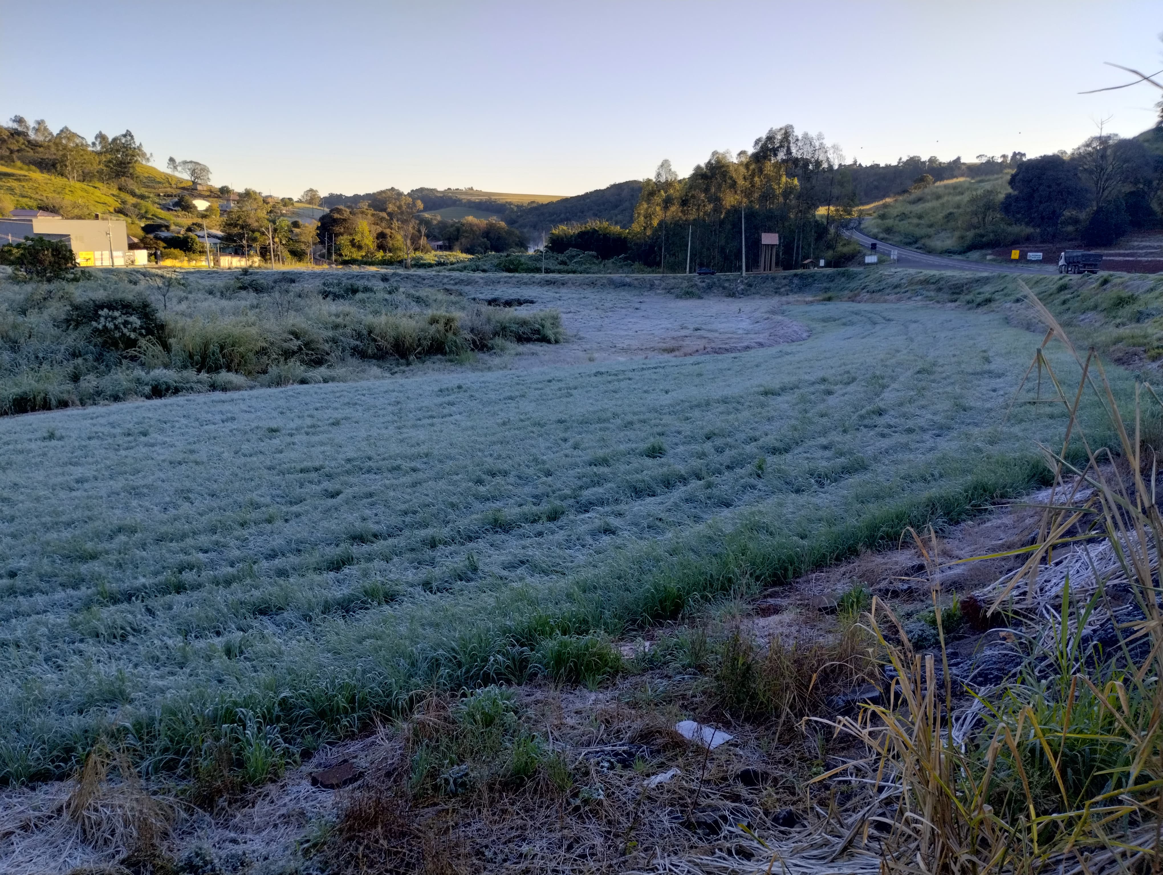 Apucarana amanhece com geada e sensação térmica de 0 ºC; veja fotos