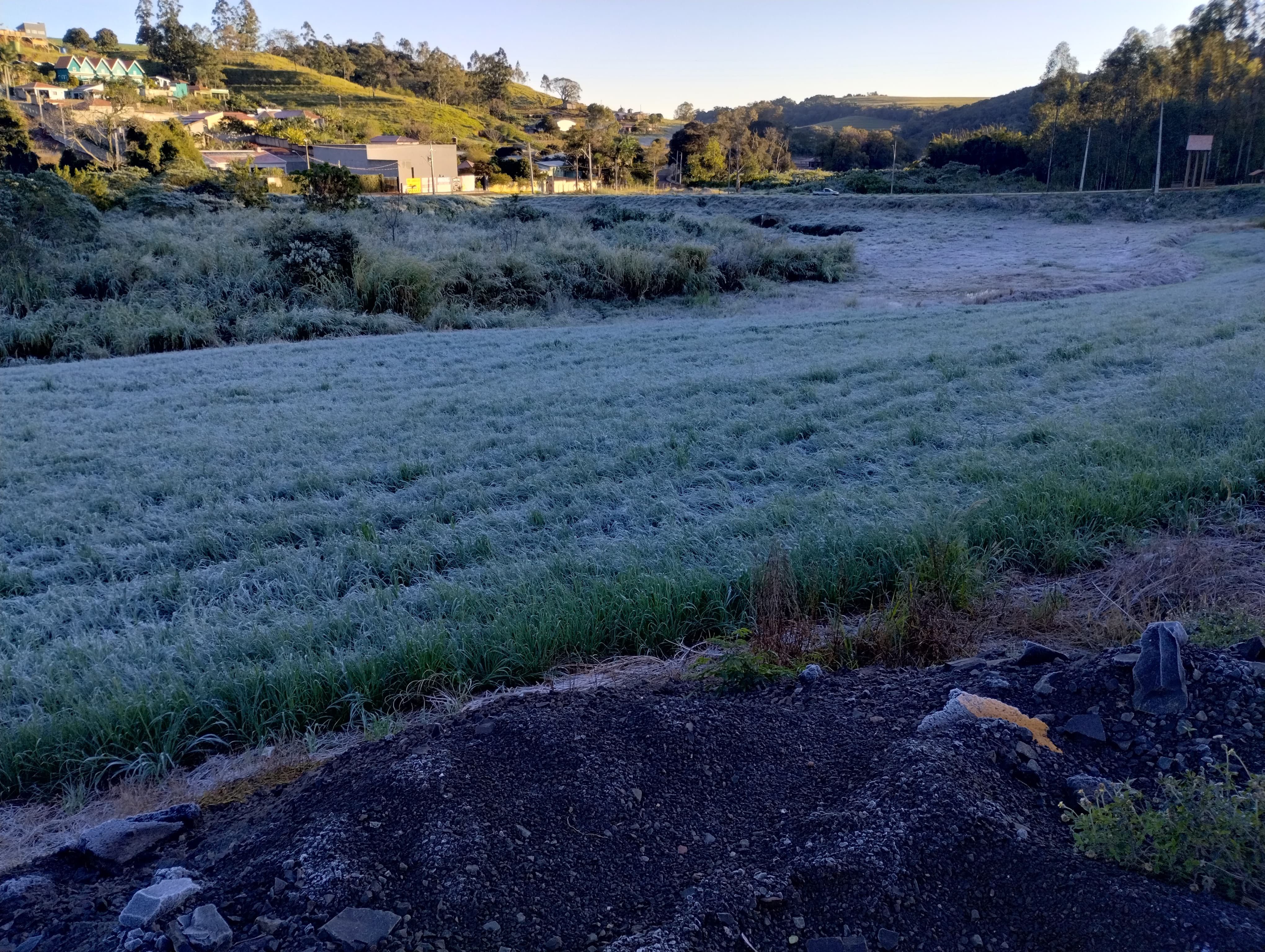 Apucarana amanhece com geada e sensação térmica de 0 ºC; veja fotos