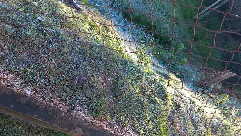 As temperaturas despencaram chegando à 3º C