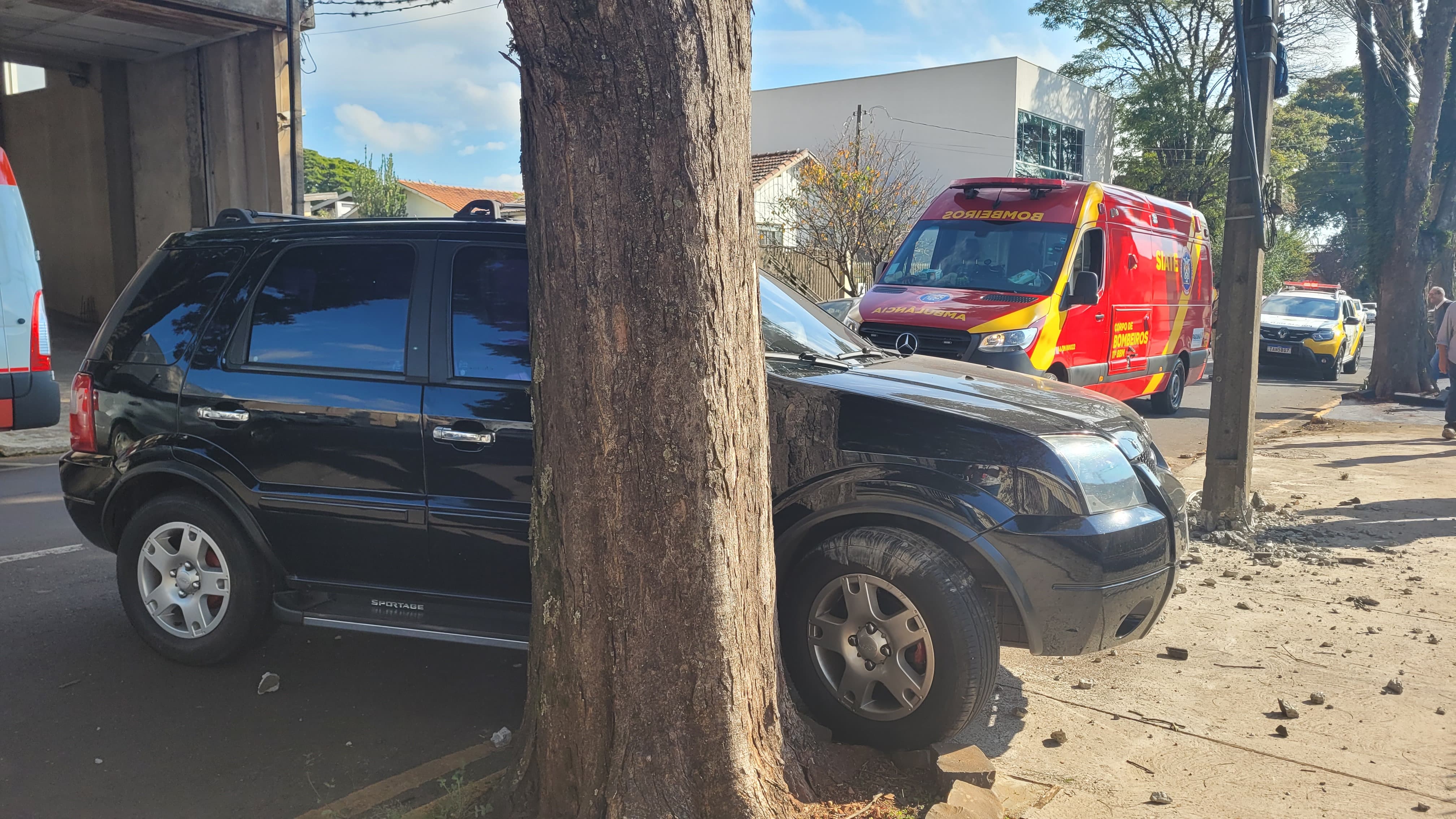 Carro bateu em poste e depois em árvore