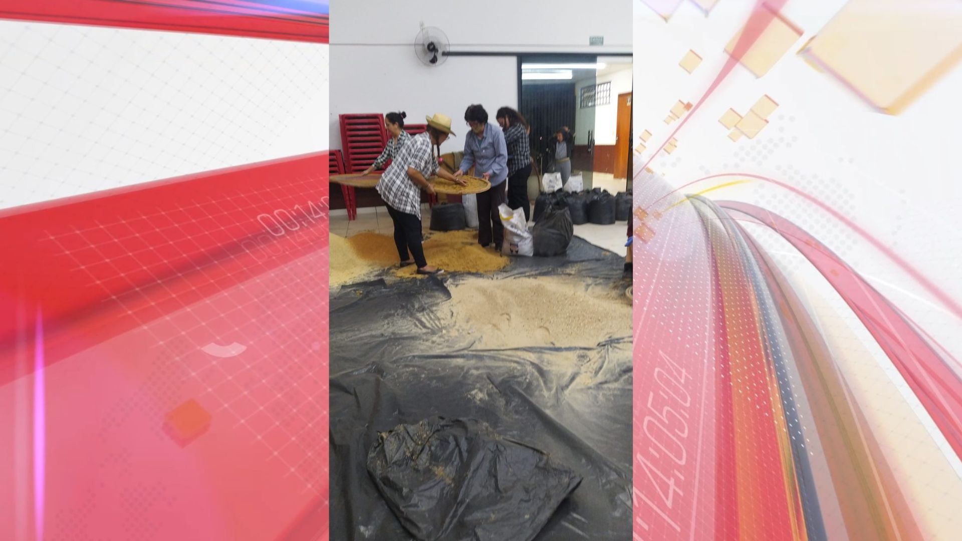 Corpus Christi em Apucarana resgata tradição dos tapetes orgânicos