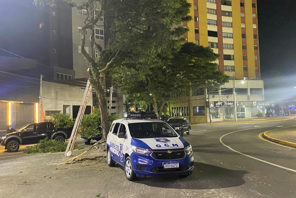 O empresário, que possui um estabelecimento no local, informou à reportagem do TNOnline que devido à demora para liberação de uma autorização para fazer a poda, decidiu agir por conta