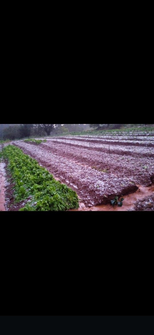 Temporal deixa rastros de destruição em Novo Itacolomi
