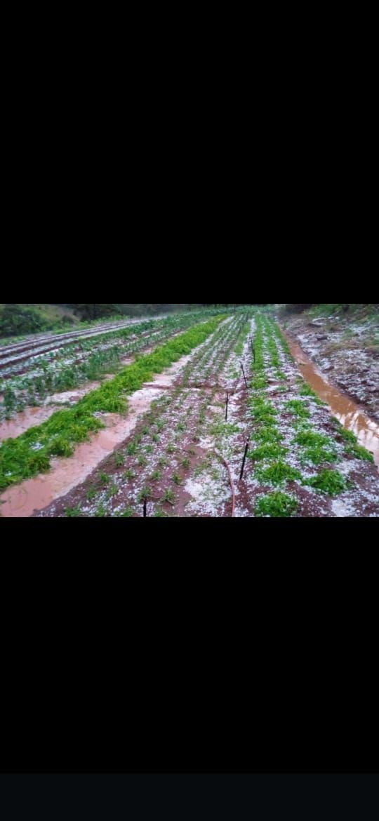 Temporal deixa rastros de destruição em Novo Itacolomi