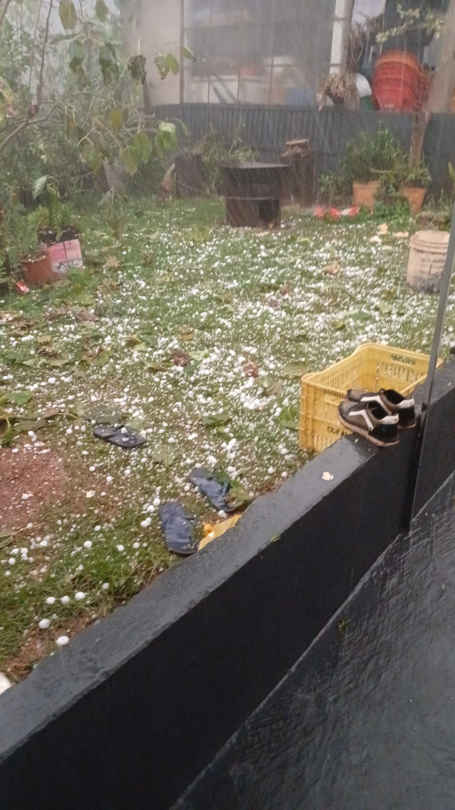 Temporal deixa rastros de destruição em Novo Itacolomi