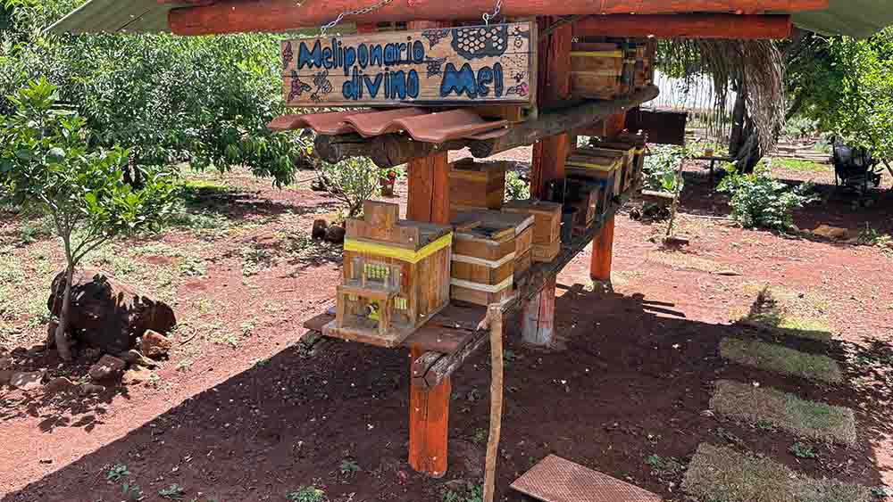 Lavanda, rosas e mel são atração de turismo rural em Ivaiporã