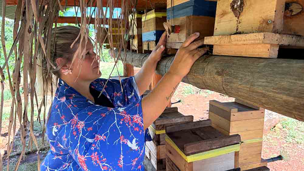 Lavanda, rosas e mel são atração de turismo rural em Ivaiporã