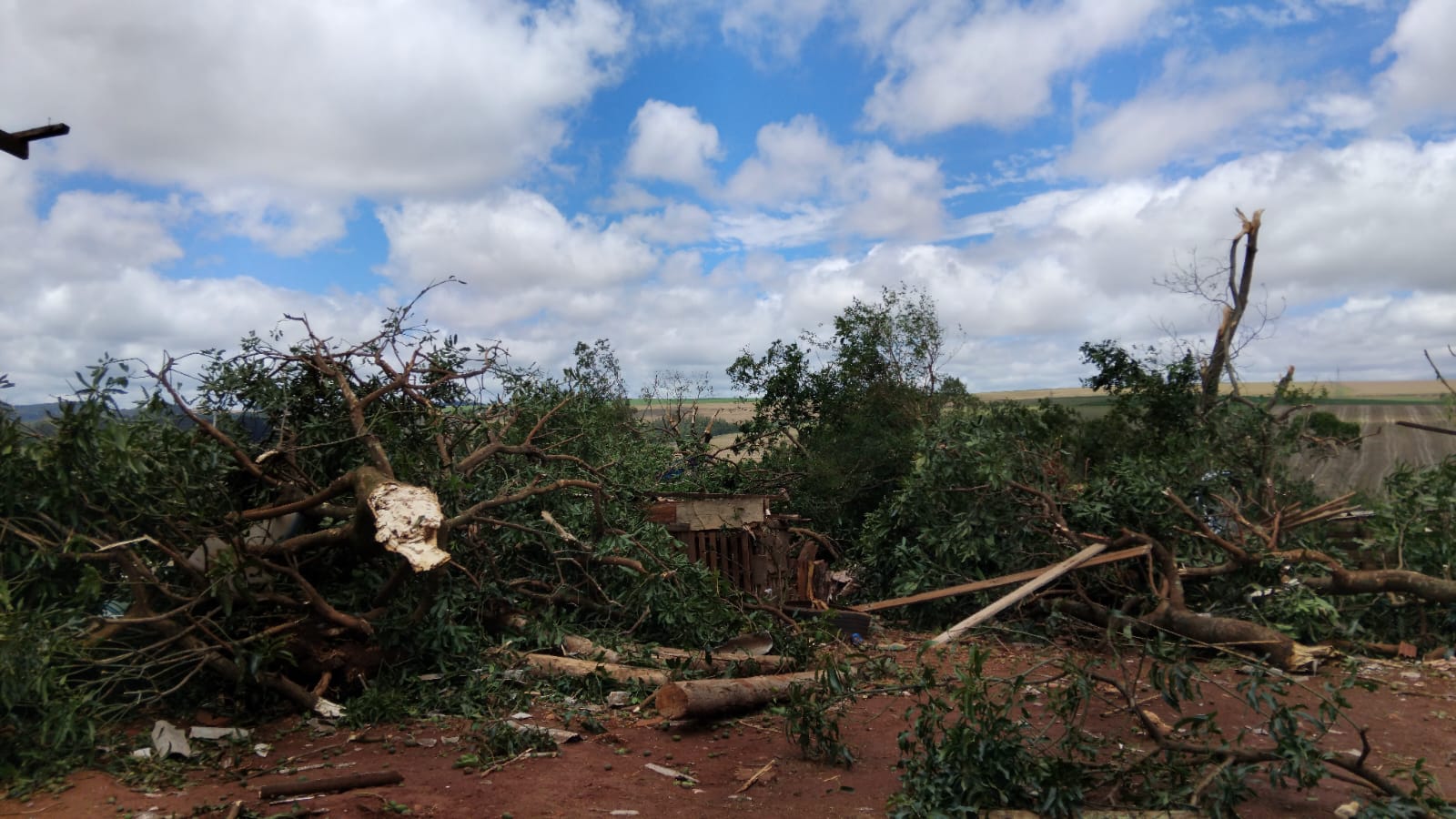 Temporal devasta Mauá da Serra; casas ficaram destelhadas e sem luz