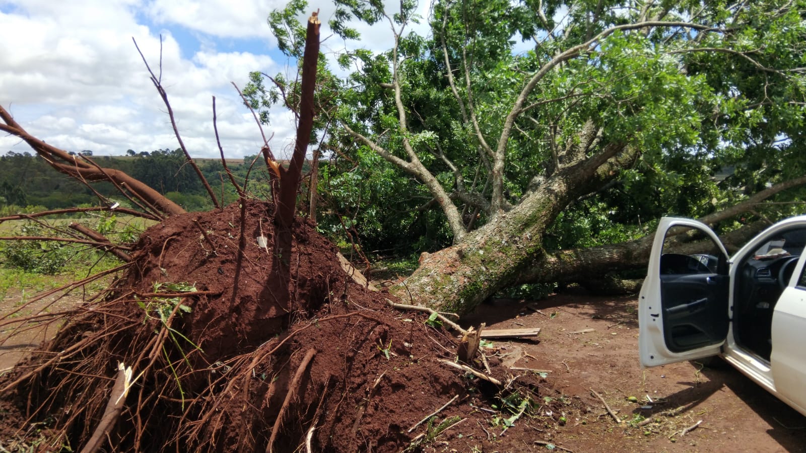 Temporal devasta Mauá da Serra; casas ficaram destelhadas e sem luz