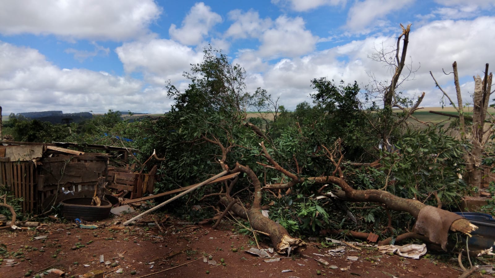 Temporal devasta Mauá da Serra; casas ficaram destelhadas e sem luz