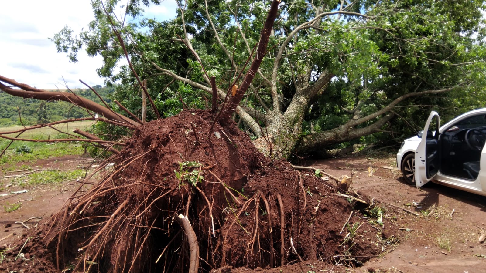 Temporal devasta Mauá da Serra; casas ficaram destelhadas e sem luz