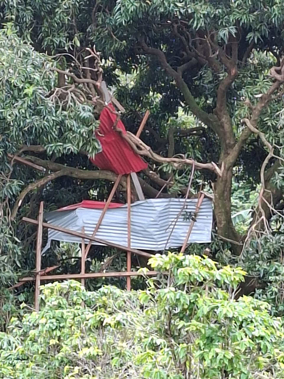 Chuvas: Defesa Civil registra 26 ocorrências de estragos em Apucarana