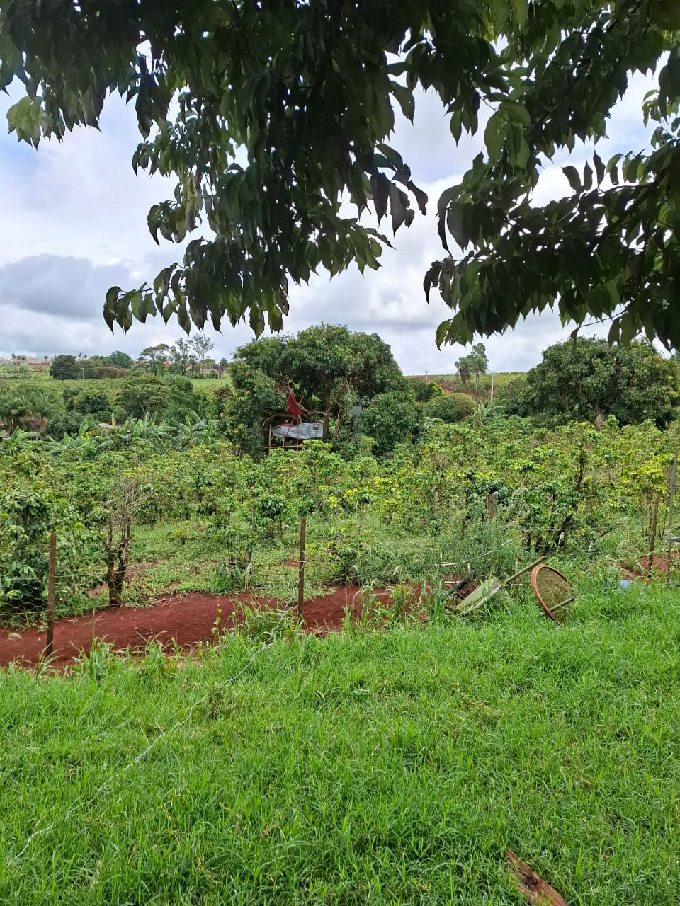 Chuvas: Defesa Civil registra 26 ocorrências de estragos em Apucarana